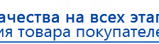 Электроды Скэнар -  двойной овал 55х90 мм купить в Нижневартовске, Электроды Скэнар купить в Нижневартовске, Дэнас официальный сайт denasolm.ru